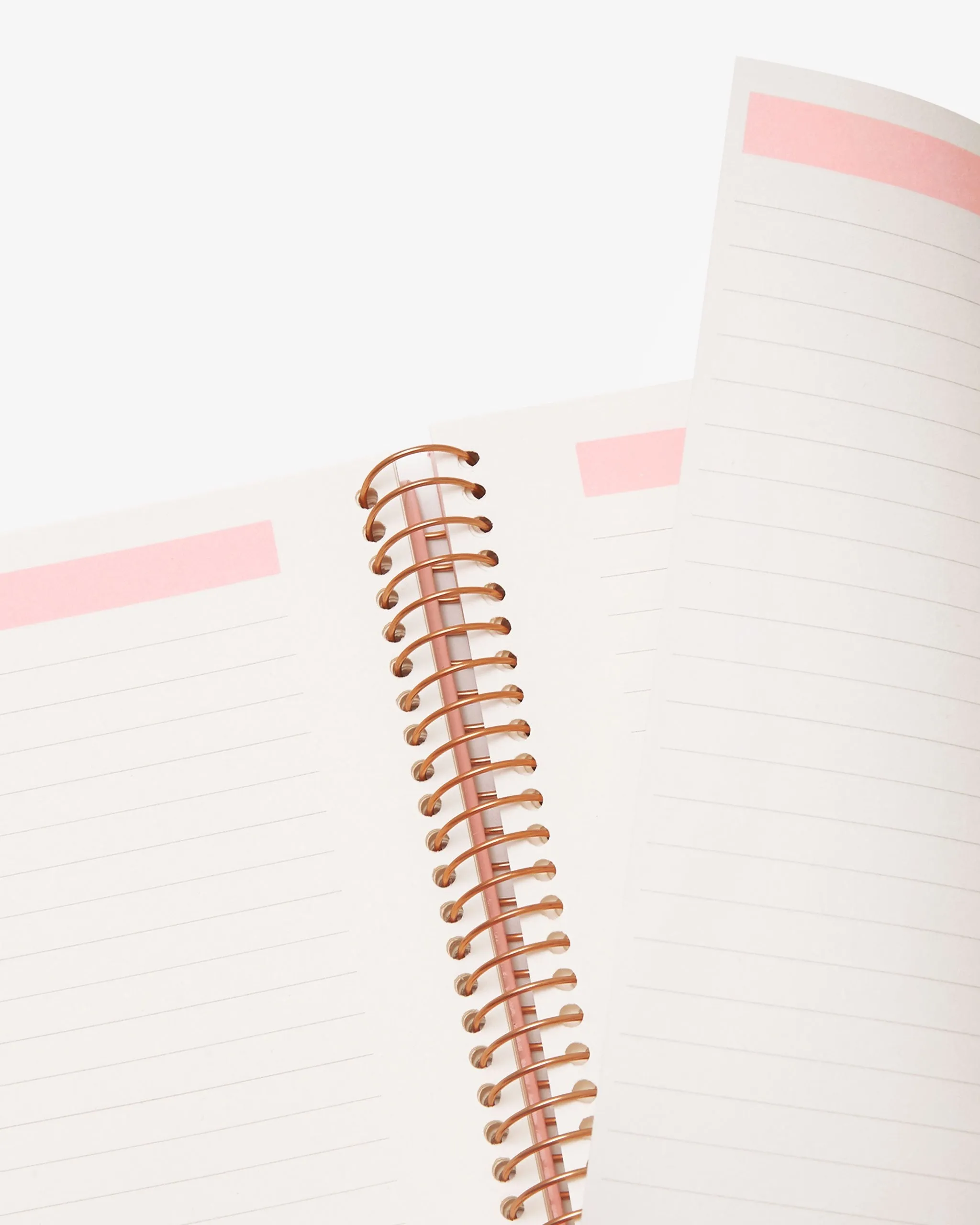 Spiral Notebook - Cool Cats